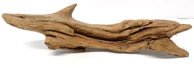 "El tiburón" escultura natural vintage de madera a la deriva de 19"" decoración de madera de Corea Maine" Foto 1 de 4