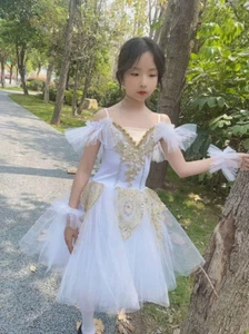Ballet Tutu Skirt Dress Girls Performance Clothing Ballerina Party Dance Wear - Picture 1 of 23