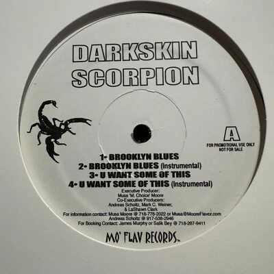 DARKSKIN SCORPION - BROOKLYN BLUES / U WANT SOME OF THIS (12")  2002!!!  RARE!!! - Image 1 of 2