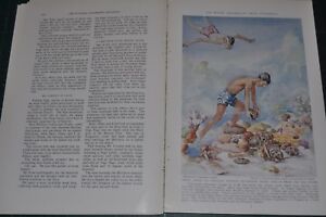 1938 THE BOTTOM OF A SOUTH SEA PEARL LAGOON magazine article, diving, color art