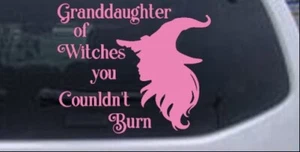 Granddaughter Witches Couldnt Burn Car Truck Window Decal Pink 6X7.1 - Imagen 1 de 1