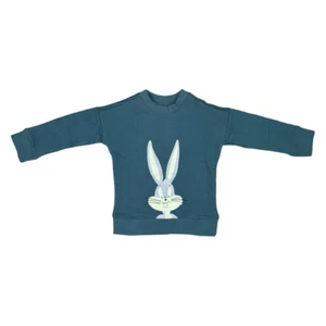 Hanna Andersson x Looney Tunes Bugs Bunny Crew Neck Sweater Size 4T Kidcore - Picture 1 of 5