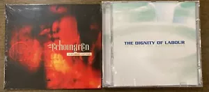 The Dignity of Labour & The Echoing Green RARE Synthpop 2-CD set - Picture 1 of 1