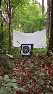Archery Backstop for Backyard Archery Backstop Heavy Duty Arrow Netting Back - Picture 1 of 3