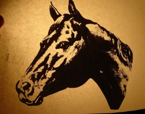 PFERDELIEBHABER VINTAGE 70er JAHRE KLASSISCHES TIER BÜGELTRANSFER B-10 - Bild 1 von 2