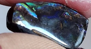 Ammolite Ammonite Coated Stone 26.5x14x6.5mm 19743 - Bild 1 von 4