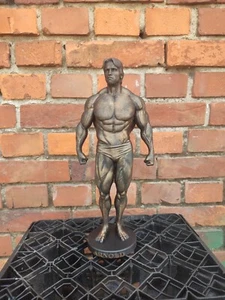 Arnold Schwarzenegger statue bodybuilding gym figure 20/25/35/55cm height - Bild 1 von 44