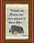 Eeyore Winnie the Pooh Dictionary Art Print Picture Poster Weed Quote Nursery