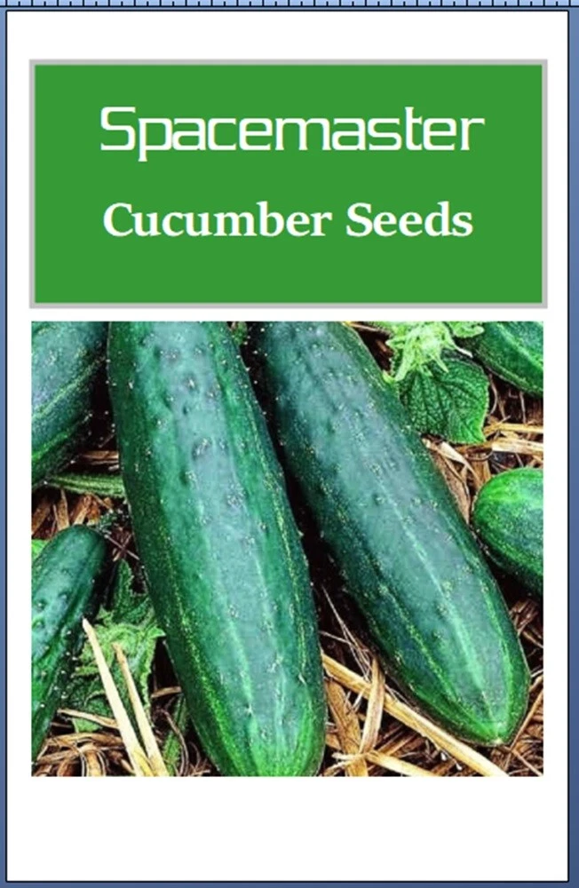 100+ Spacemaster 80 Cucumber Seeds - Heirloom, Organic, Non-GMO, Fresh For Summer Planting