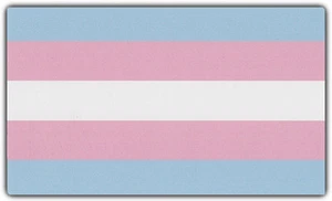Pegatinas para parachoques: BANDERA DEL ORGULLO TRANSEXUAL | Trans Sexual | Apoyo, aliado, amigable - Imagen 1 de 1