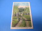 Rocky Mountian National Park Unused Vintage Color Postcard PC23