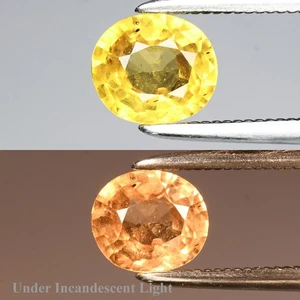 💎 0.73ct 5.8x5mm Oval Natural Color Change Garnet - Unheated, Africa Gemstone - Picture 1 of 6