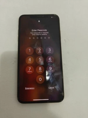 Apple iPhone XS Max - Imagen 1 de 3