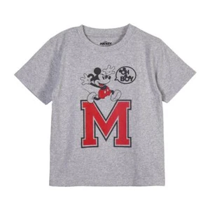 T-Shirt Manica Corta Single Jersey Point Mickey Mouse GRIGIO - 5 Anni | BAMBINO - Imagen 1 de 6