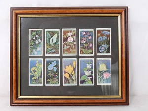 Set Original Wills Wildflowers Zigarettenkarten 1-10. Gerahmt. - Bild 1 von 4