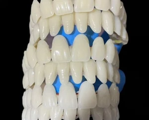 False Snap On Bottom/Upper Lower False Teeth Dental Veneers Dentures Fake Tooth - Picture 1 of 10