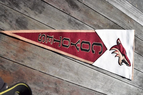 Arizona Coyotes NHL GIANT SIZE Pennant 17x40 Wool Pennant Cover