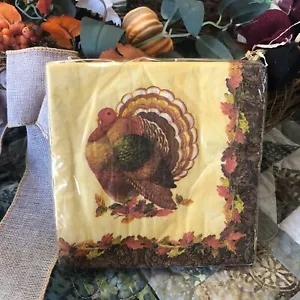 NEU Smart Living von Vicky Howard Thanksgiving Servietten 12 7/8" 2-lagig 18 Herbst - Bild 1 von 9