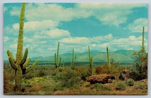 Postcard Arizona Giant Saguaro Cactus Mountains Desert Clouds Vintage c1960s AZ - Imagen 1 de 2