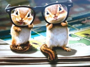 FUNNY BIRTHDAY CARD "Funny, You Don't Look a Year Older!" CHIPMUNKS w/ GLASSES - Picture 1 of 2