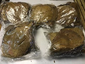 1 kg Hojas del almendro MALABAR Feuilles CATAPPA LeavesINDIAN ALMOND - Bild 1 von 2