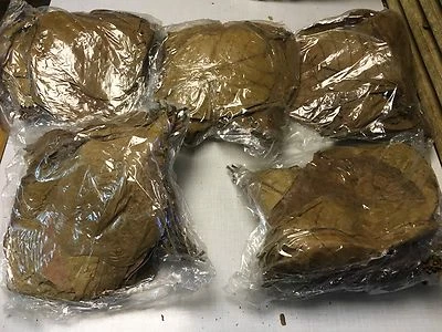 🌟1 Kg Seemandelbaumblätter 🌟 Feuilles 🌟 Catappa Leaves 🌟 Indian Almond 🌟 - Bild 1 von 2