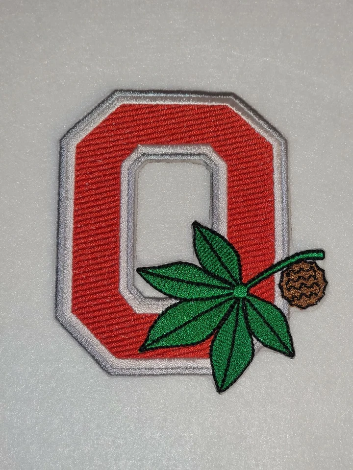 Parche de apliques bordados de hierro de 4 pulgadas Ohio Buckeyes Foto 1 de 1