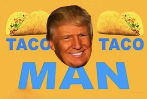 TACO MAN🔥Trump Always Chickens Out Vinyl Sticker 4 x 2.5 Inch🔥FUNNY - Picture 1 of 1