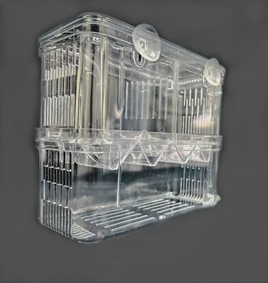 WAVE POINT Aquarium Fish Tank Breeding Breeder Rearing Box Hatchery Isolation Case, Large