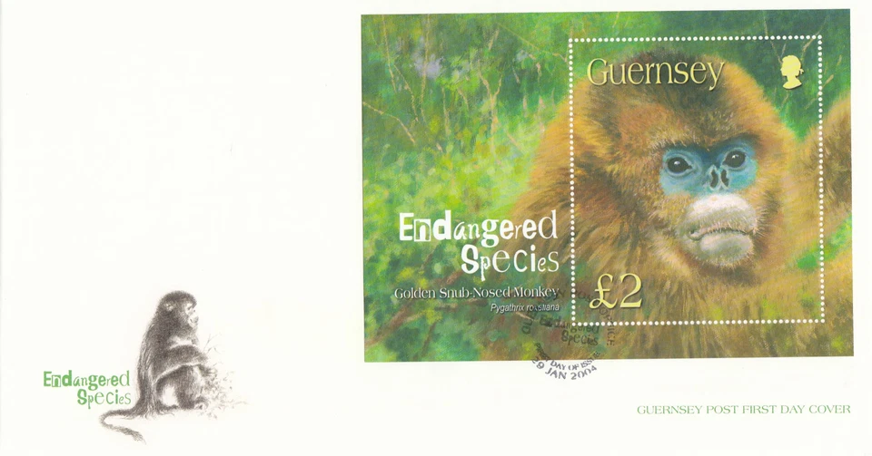 Golden Snub-nosed Monkey minisheet GB Guernsey FDC 2004 (138630) - Image 1 of 1