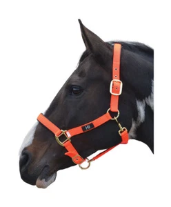 Hy Equestrian Grand Prix Head Collar Chocolate Hot Pink Hot Orange Navy Grey - Picture 1 of 11
