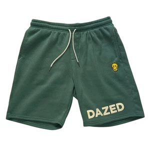 Public Record DAZED Shorts sz: MEDIUM   - Picture 1 of 6