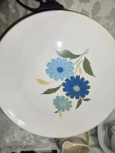 4 Vintage SALEM American Ironstone WESTERN WILD FLOWER Speiseteller Retro BLAU - Bild 1 von 5