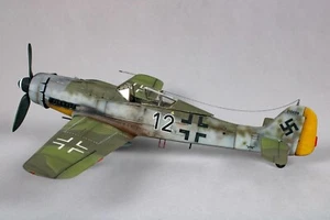 Scale Model Focke Wulf FW 190 D9 aircraft. Pro Built 1:48 Tamiya kit. Theo Nibel - Photo 1/13