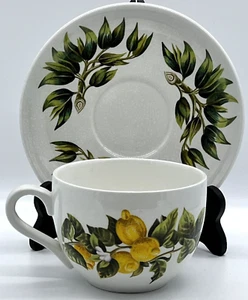 Susan Williams - Ellis "Oranges & Lemons" Soup Cup & Saucer - Picture 1 of 13
