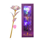 Colorful  Mother's Day Gifts Golden Foil Roses With   V1f9