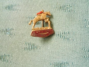 VINTAGE BRITISH OLYMPIC EQUESTRIAN TEAM - EMAILLE PIN BADGE - LEWIS - Bild 1 von 2