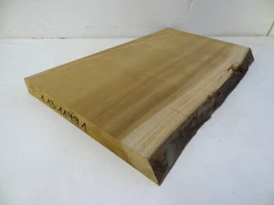 Dibetou Nussbaum Drechselholz Edelholz Korpus schnitzen basteln ca.68x36x4cm - Bild 1 von 2