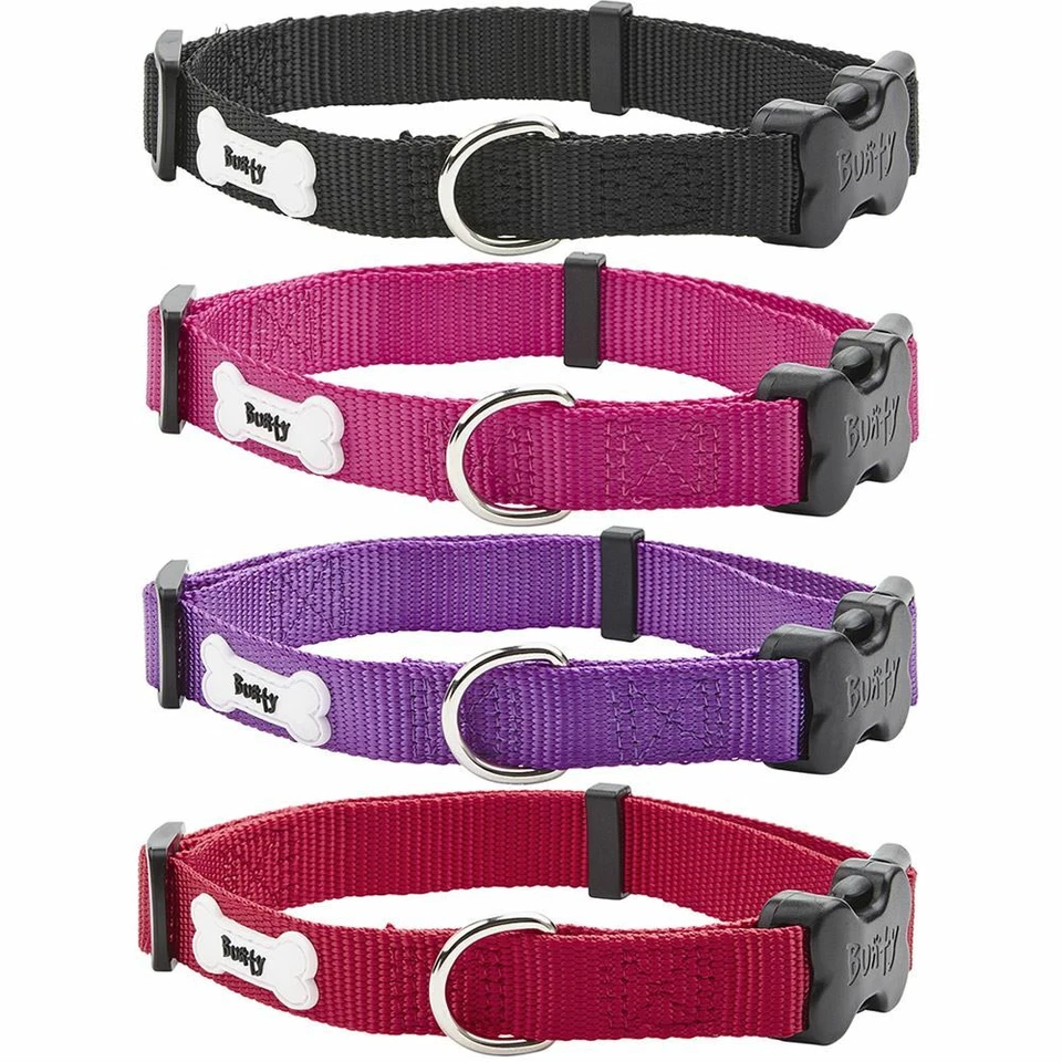 Adjustable Nylon Dog & Puppy Collar with Metal Lead Ring - Various Sizes/Colours - Image 1 of 1