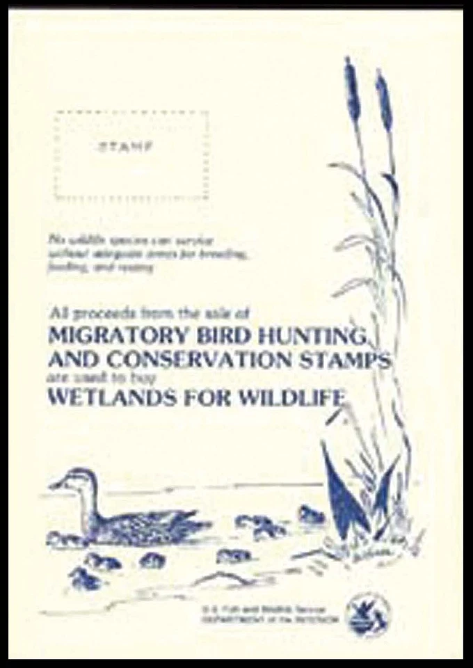 Federal duck stamp souvenir card — Card 4 - Image 1 of 1