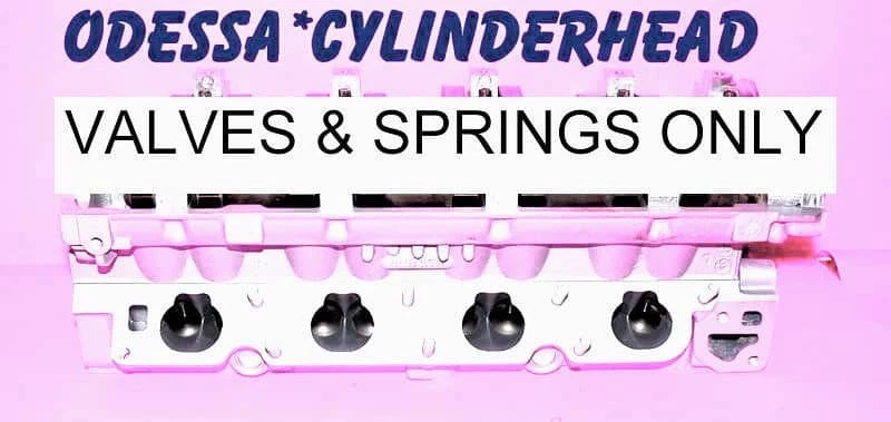 Válvulas y resortes de culata Isuzu Amigo Rodeo 2.2 DOHC solo reconstruidos 98-02 Foto 1 de 1