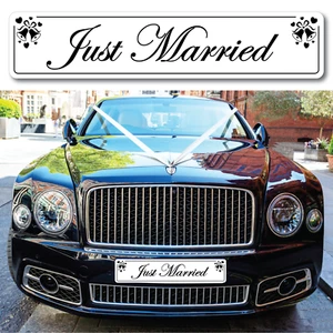 Gerade verheiratet Hochzeit Auto Nummernschilder Herzen & Glocken Schild Geschenk - Bild 1 von 2