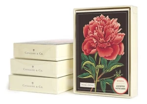 Cavallini & Co. Botanical Box Notizkarten, sortiert - Bild 1 von 8