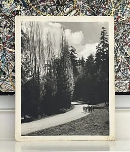 Stampa fotografica vintage metà secolo 1958 paesaggio bianco e nero "May Time" - Foto 1 di 12