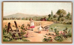 1880's VICTORIAN EPHEMERA STOCK TRADE CARD GIRL SCARED OF GEESE COUNTRY SCENE - Picture 1 of 2