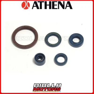 KIT PARAOLI MOTORE ATHENA HUSQVARNA TXC 450 2003-2010 P400220400255 Foto 1 de 4
