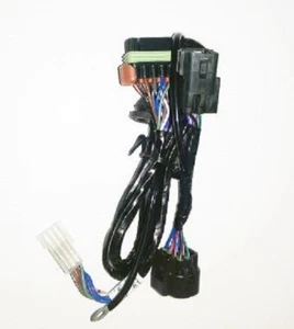 NOS Holden VT VU VX Commodore V6 & V8 LS1 Cruise Control Patch Harness 92057293 - Picture 1 of 3