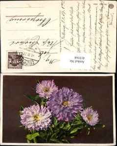 413168, flores aster violeta - Imagen 1 de 1