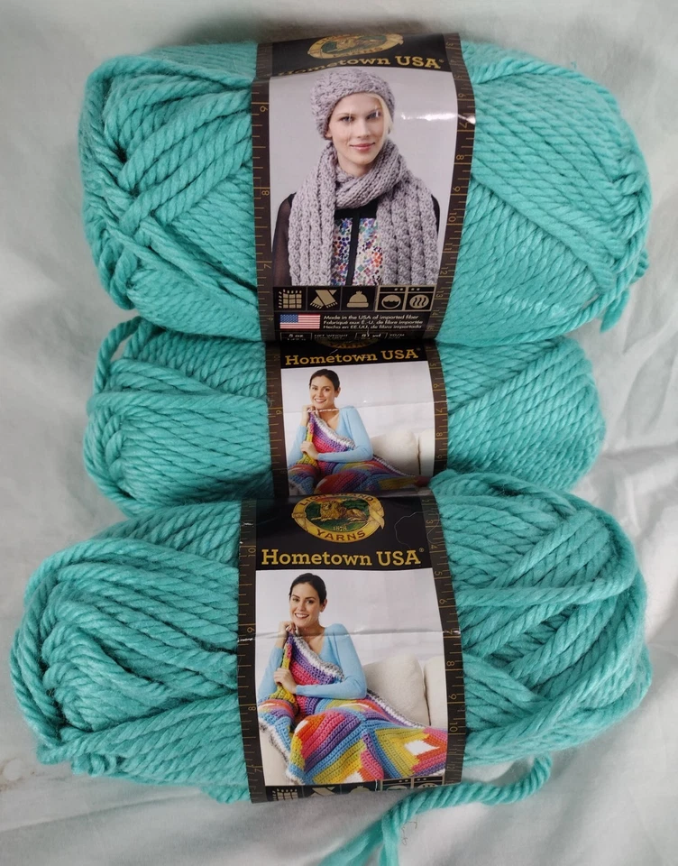 Miami Seafoam by Lion BRAND Yarn Hometown USA 2 Skeins