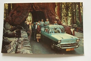 Cartolina California: Parco Nazionale di Yosemite, Wawona Drive Through Tree - Foto 1 di 2